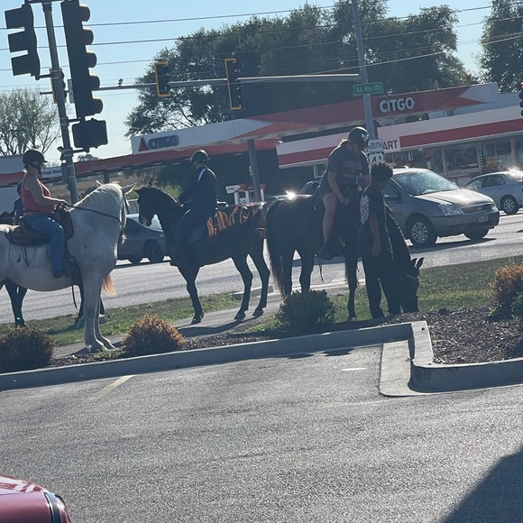 Live show listing - Picture 15 of 15